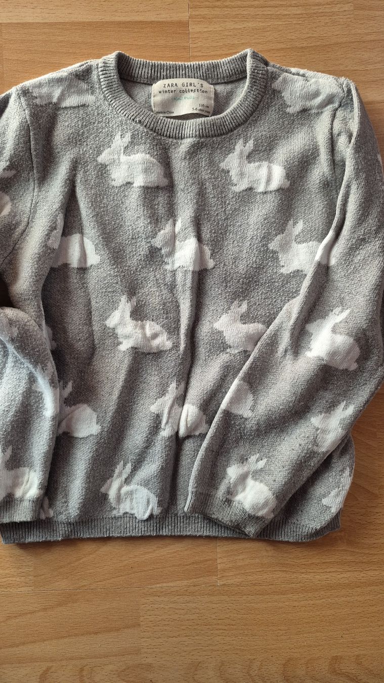 Zara Pullover & Sweatshirts: Pullover Zara 116 – Gebraucht aus Winterthur von Frettchen87