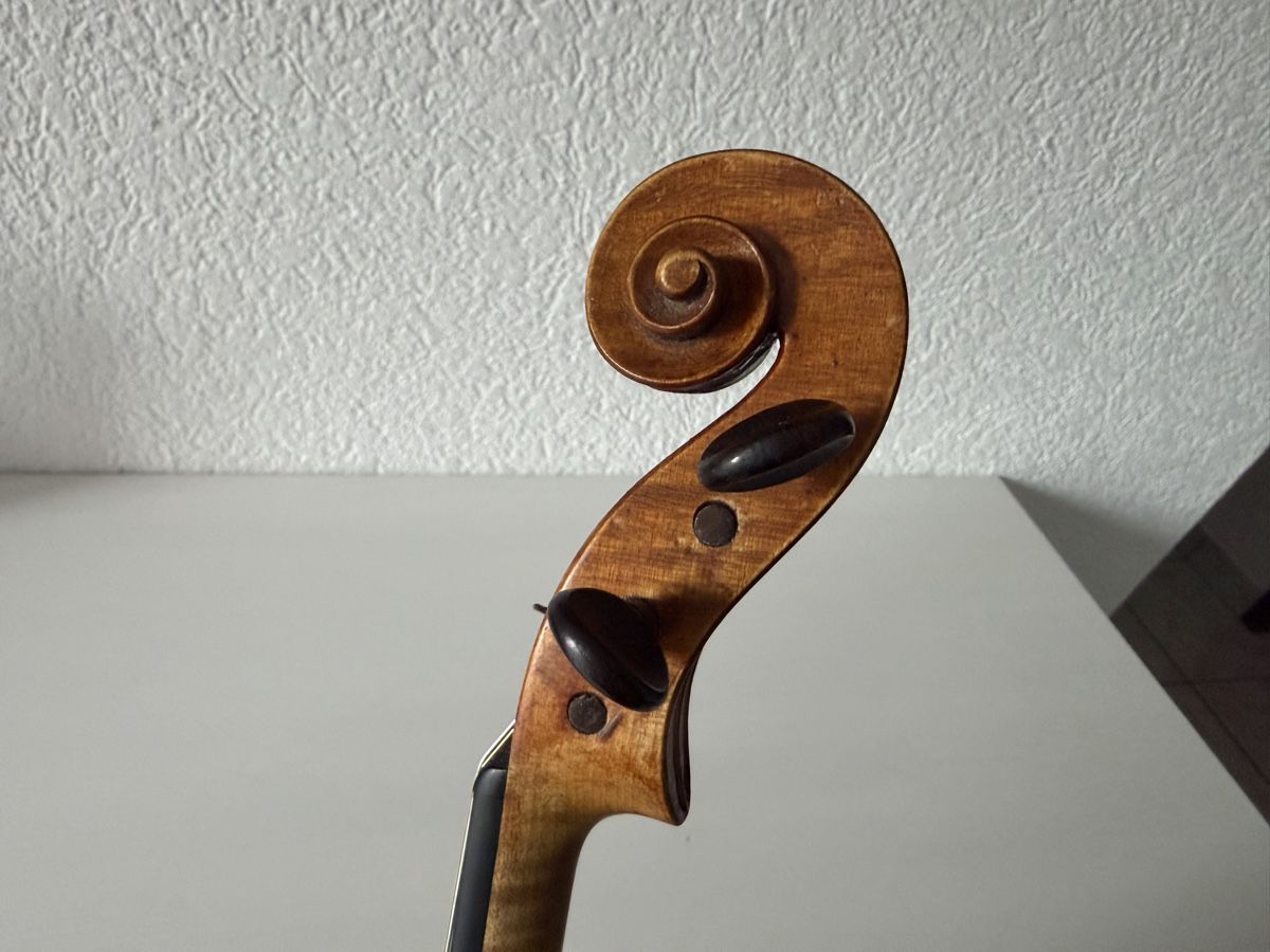 Strumenti musicali: Violon Allemand 4/4 – Usato da bassecourt venduto da LiN2004 8