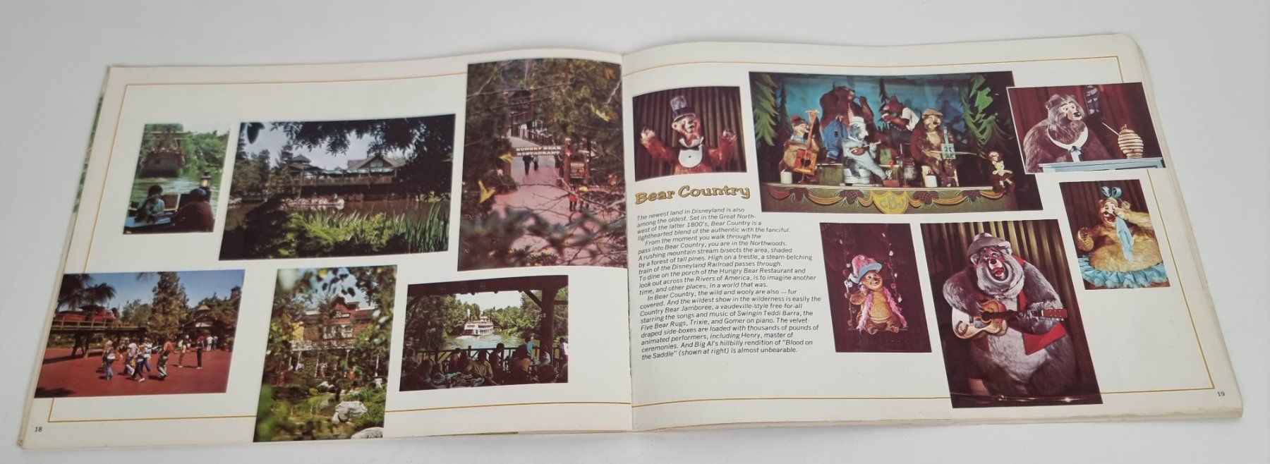 Libri: Souvenirheft Disneyland – Usato da Urtenen-Schönbühl venduto da Restwert_Schoenbuehl 2