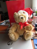Teddy Weihnacht mit Brummstimme