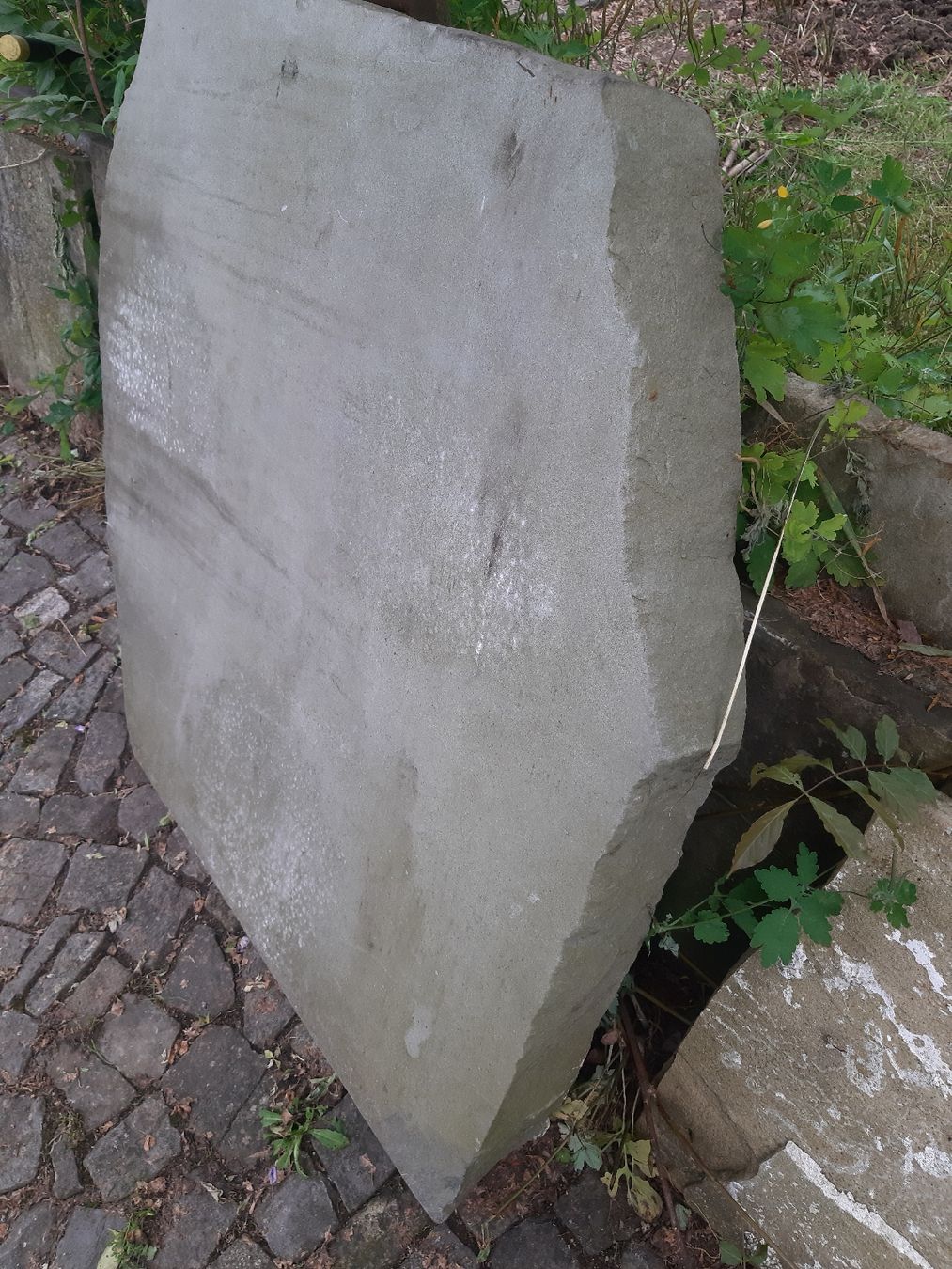Pietre & tegole: Grosse Sandsteinplatte ca. 90 x 90 x 9.5cm – Usato da Volketswil venduto da bauteilverwerter 5