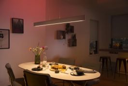 Philips Hue Hängelampe / Pendelleuchte, Top Zustand