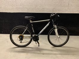 Mountain bike WHEELER Trail 8.0