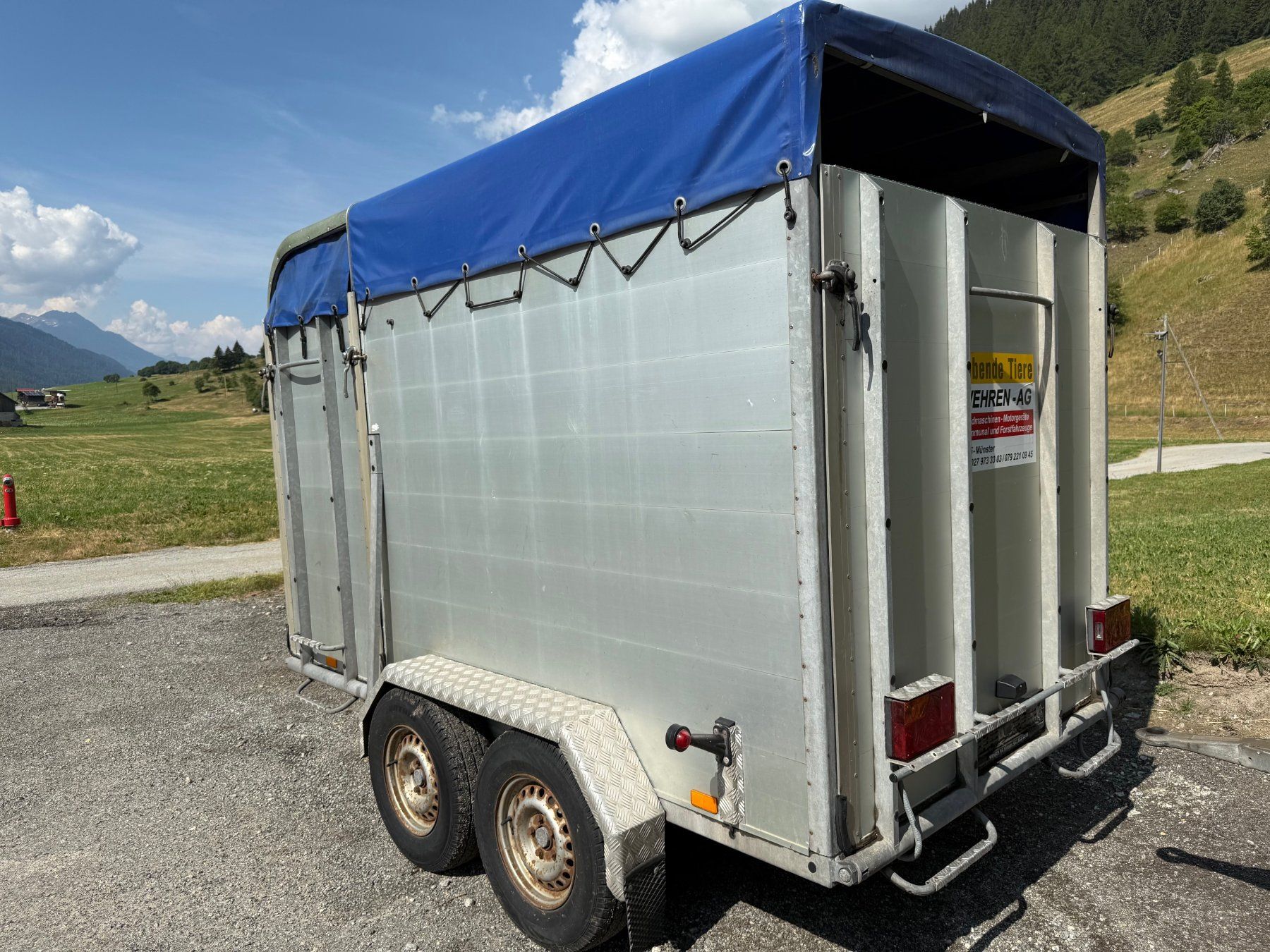 Daltec Rimorchi: Viehanhänger Daltec Cargo 25 – Usato da Münster venduto da werage