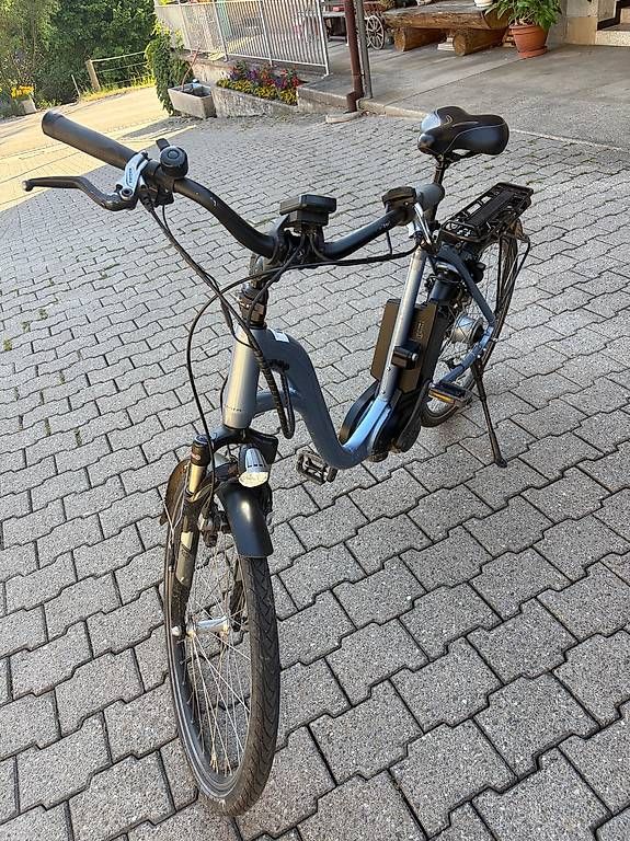 Biciclette: Flyer C8 E-Bike Di2 mit 2 Akkus, 14082 km – Usato da Winterthur venduto da ver_f2wl