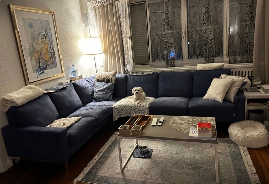 Sofas: Eck-Sofa – Gebraucht aus Nussbaumen AG von ahe_yps8 1