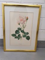 Bild mit Rose, signiert in Goldrahmen