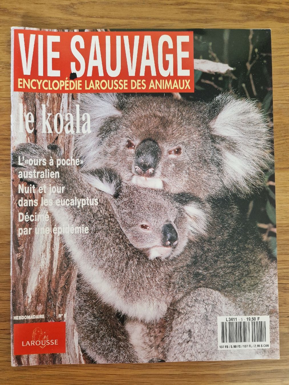 Zeitschriften & Magazine: Vie sauvage - le koala – Neu (gemäss Beschreibung) aus Villars-sur-Glâne von Agnie80