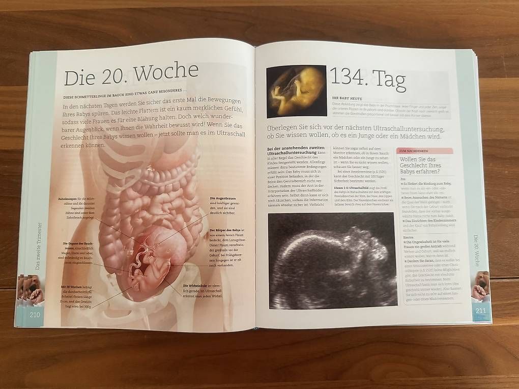 Bücher: Schwangerschaft Tag für Tag – Gebraucht aus Liestal von esi79 1