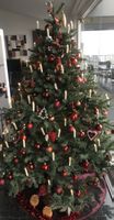 Grosser Weihnachtsbaum, ca. 160 ohne Dekoration  🎄🎅🏼