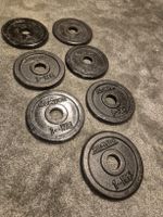 hantelscheiben/ fitness