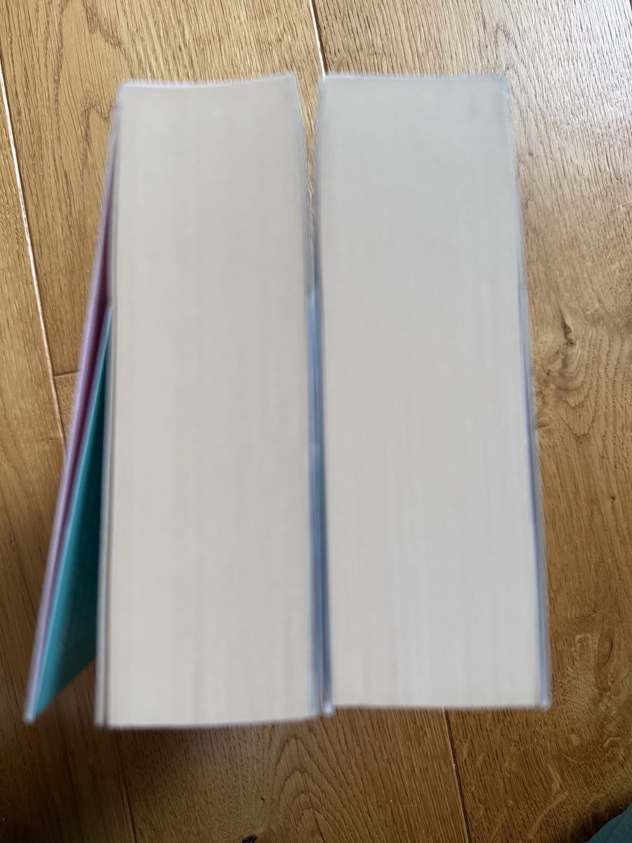 Libri: Never too late & Never too close co  Morgane Moncomble – Usato da Zürich venduto da turicum2008 4