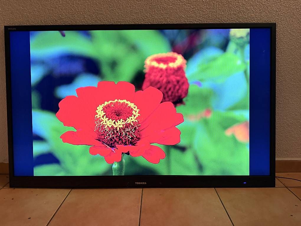 Toshiba Televisori: Fernseher Toshiba 55 Zoll – Usato da Hendschiken venduto da DanielaM86 2