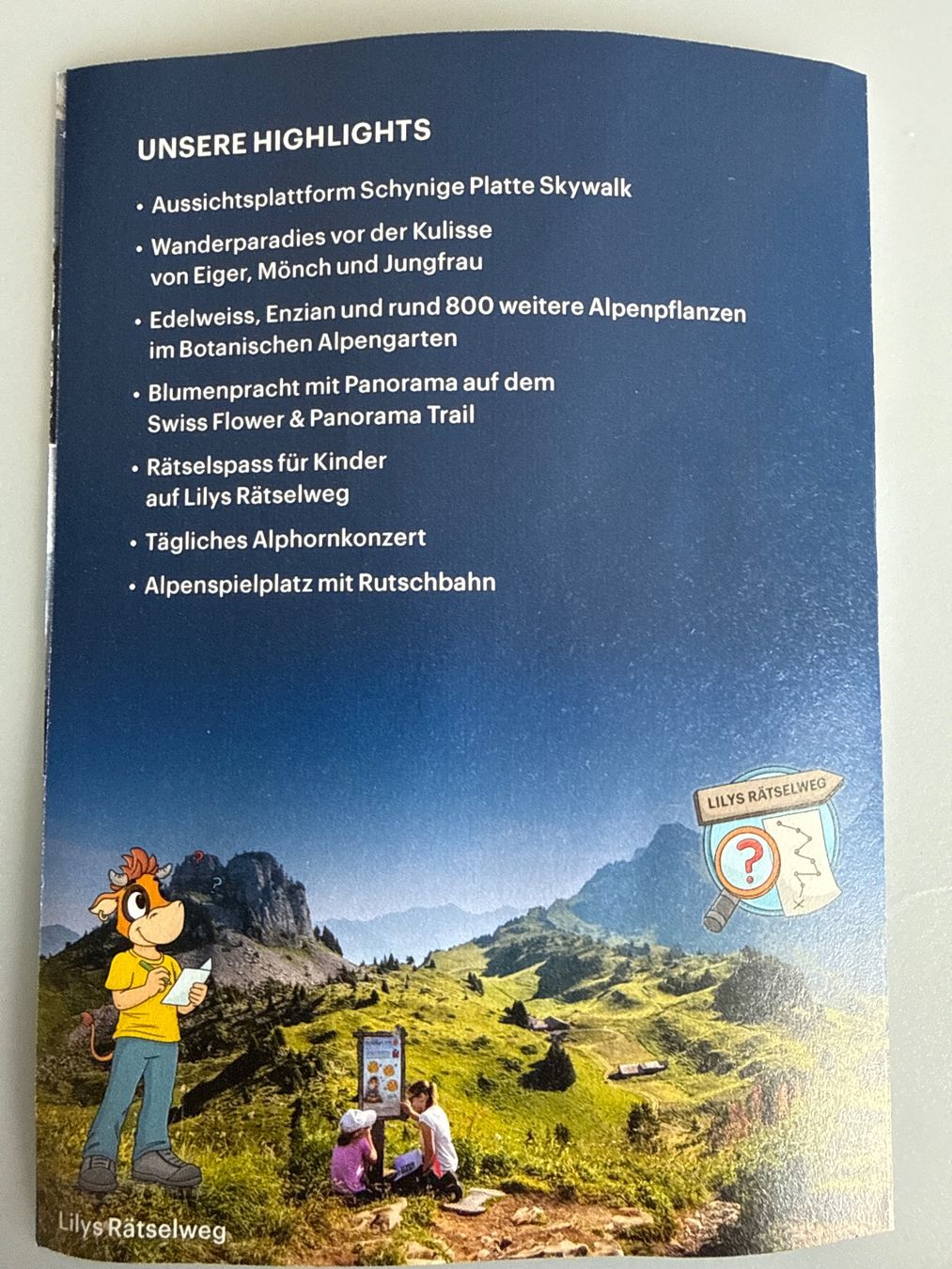 Gutscheine: Schynige Platte -Rabattgutschein – Neu (gemäss Beschreibung) aus Heimberg von Barb5705 1