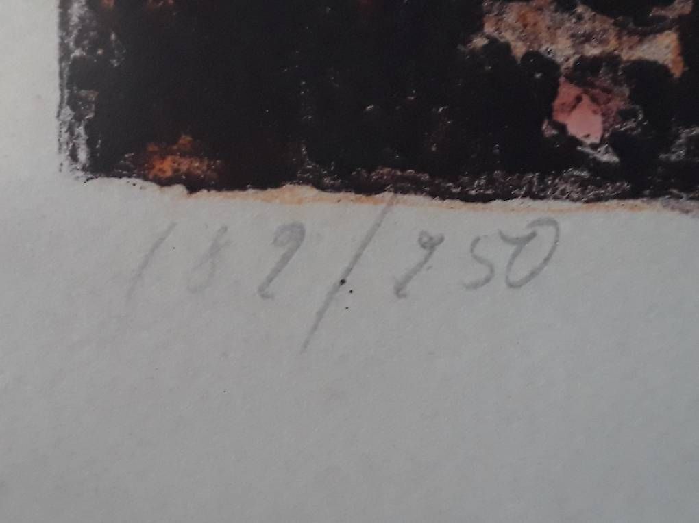 Arts picturaux & lithographies: Lithografie Bild – D'occasion à Kesswil par Branca-01 2