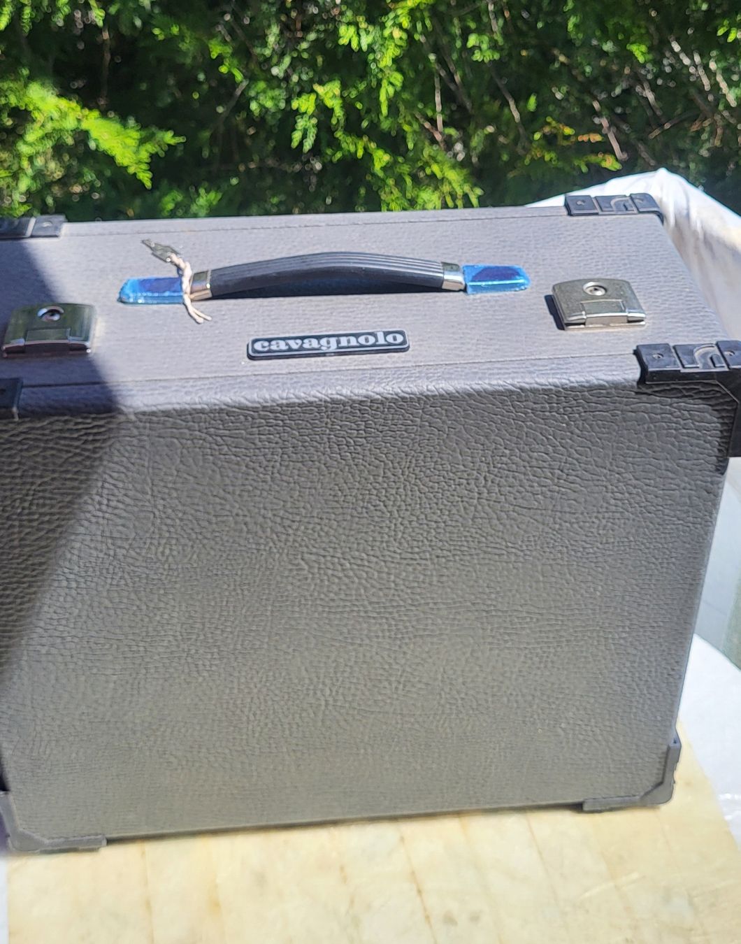Strumenti musicali: Accordéon Cavagnolo électronique – Usato da Penthalaz venduto da EvandroLuz 8