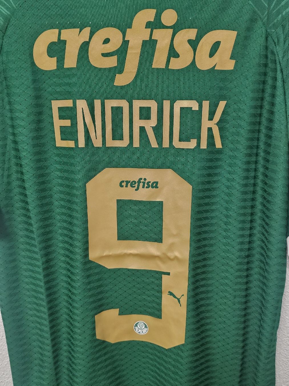 Canottiere & Pantaloni: Palmeiras Trikot 24/25 – Nuovo (secondo la descrizione) da Rickenbach LU venduto da LichterWelt 2