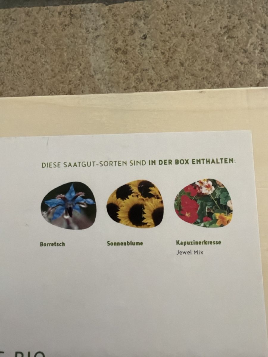 Piante & sementi: Essbare Blüten XS BIO Saagutbox mit Borretsch, Sonnenblume,  – Nuovo e nell'imballaggio originale da Oberentfelden venduto da Elifant 2
