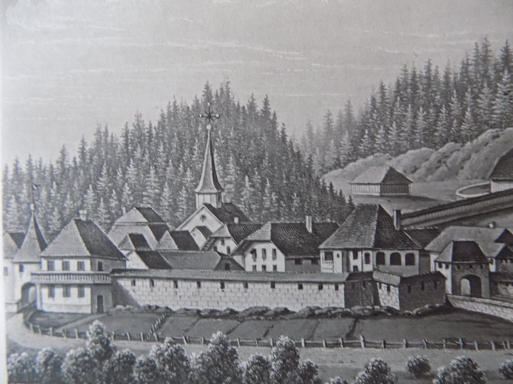 Incisioni: Laupen Schloss Kanton Bern – Usato da Risch venduto da Antikfee 4
