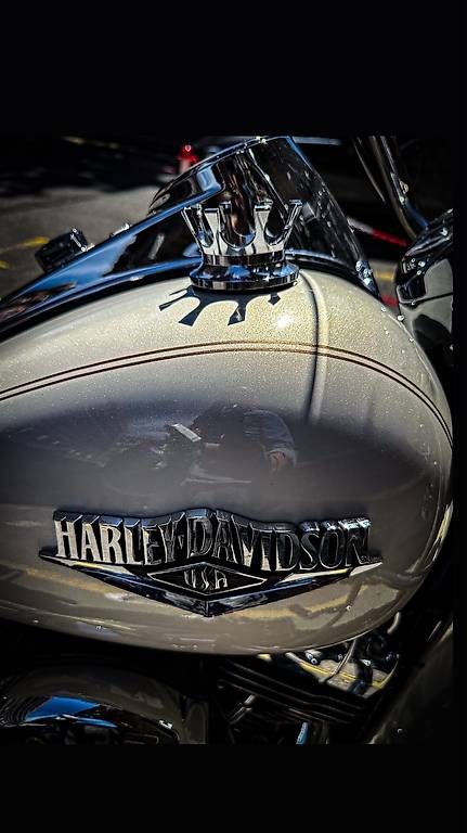 Harley-Davidson Touring: Harley Davidson Road King 103 ABS – Usato da Montreux venduto da Alligator-AMPS 4