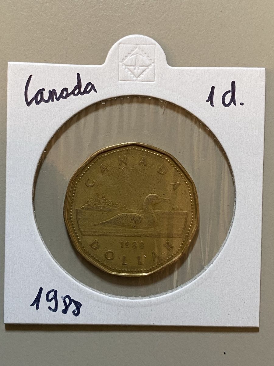 Tutti le monete: Canada - 1 dollar - 1988 – Usato da Payerne venduto da Mike1682