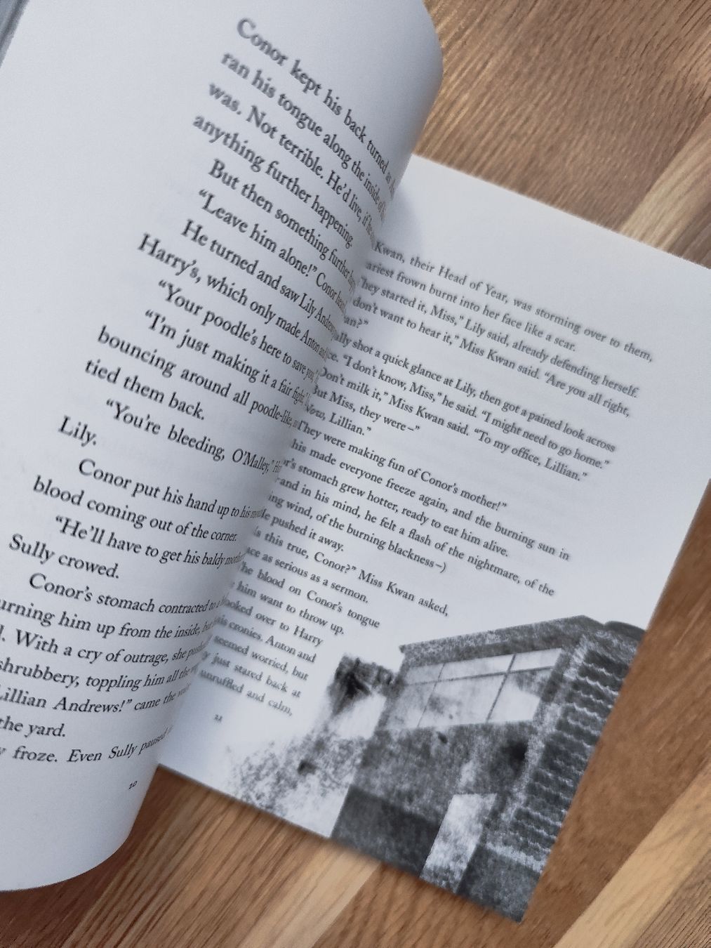 Libri: A Monster Calls by Patrick Ness – Usato da Mägenwil venduto da VintageGirly 7