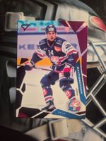 Chris Baltisberger ZSC Lions 2025/26 Sportzoo Pink
