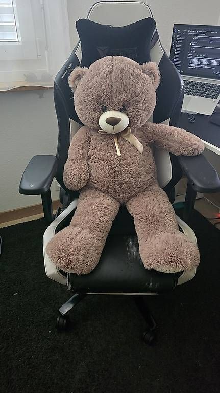 Giocattoli: Teddybär Gross – Usato da Rümlang venduto da Blackerian