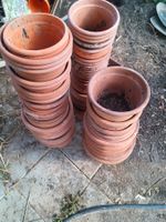 Hochwertige Töpfe zum produzieren von pflanzen