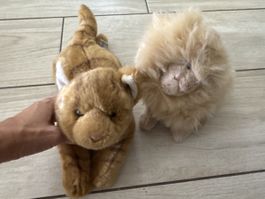2 Suki Plüschkatzen braun hellbraun guter Zustand