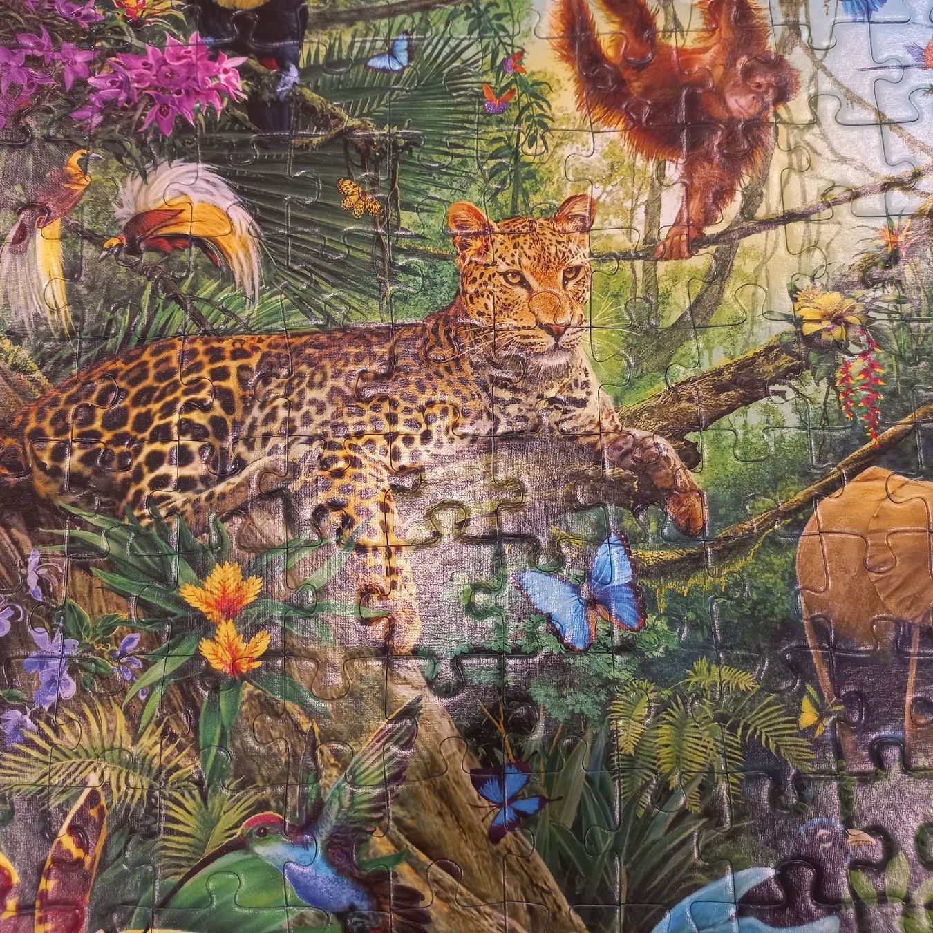 Ravensburger Puzzles: Ravensburger Puzzle 2x200 XXL – Neu (gemäss Beschreibung) aus Dompierre FR von fat_xth5 9