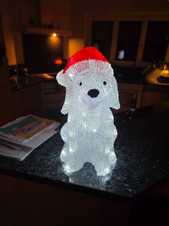 Tutte le decorazioni: Weihnachtsdekoration Bär mit Mütze – Usato da Hausen AG venduto da Monchhichi01 1