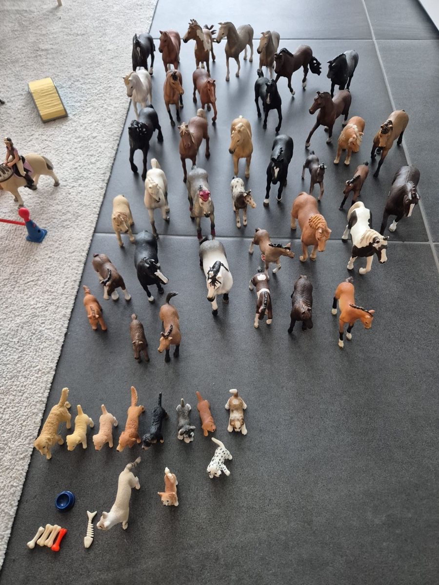 Schleich Spielzeuge: Schleichställe mit Reitplatz mit Zubehör – Gebraucht aus Uznach von j.g.gashi 5