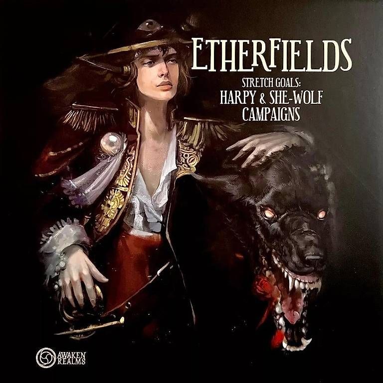 Jeux: Jeu de plateau Etherfield + extensions – D'occasion à Bramois par yeh_l2sp 1