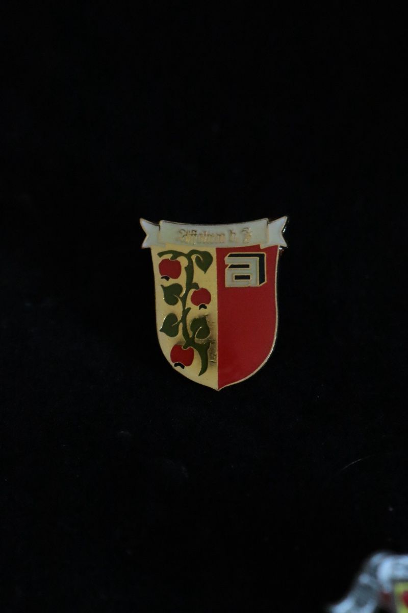 Placchette & Badge: Affoltern am Albis PIN‘s – Usato da Ottenbach venduto da siiinnaa_77 5