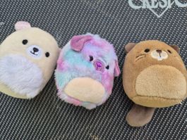 3 Plüschtiere Squishmallows 