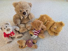 diverse Teddybären, in gutem Zustand