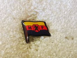 Ansteckpin 101: Flagge