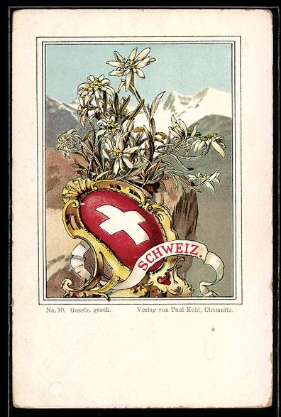 Cartes postales: AK Schweiz, Wappen mit Edelweiss – D'occasion à Berlin par bartko-reher