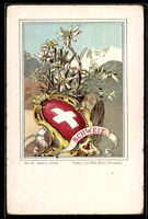 AK Schweiz, Wappen mit Edelweiss