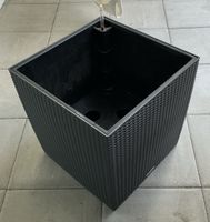 Lechuza-Pflanzen Topf mit Bewässerungssystem gross