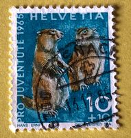 Nr.J 211 GESTEMPELT Alpenmurmeltier 1965 