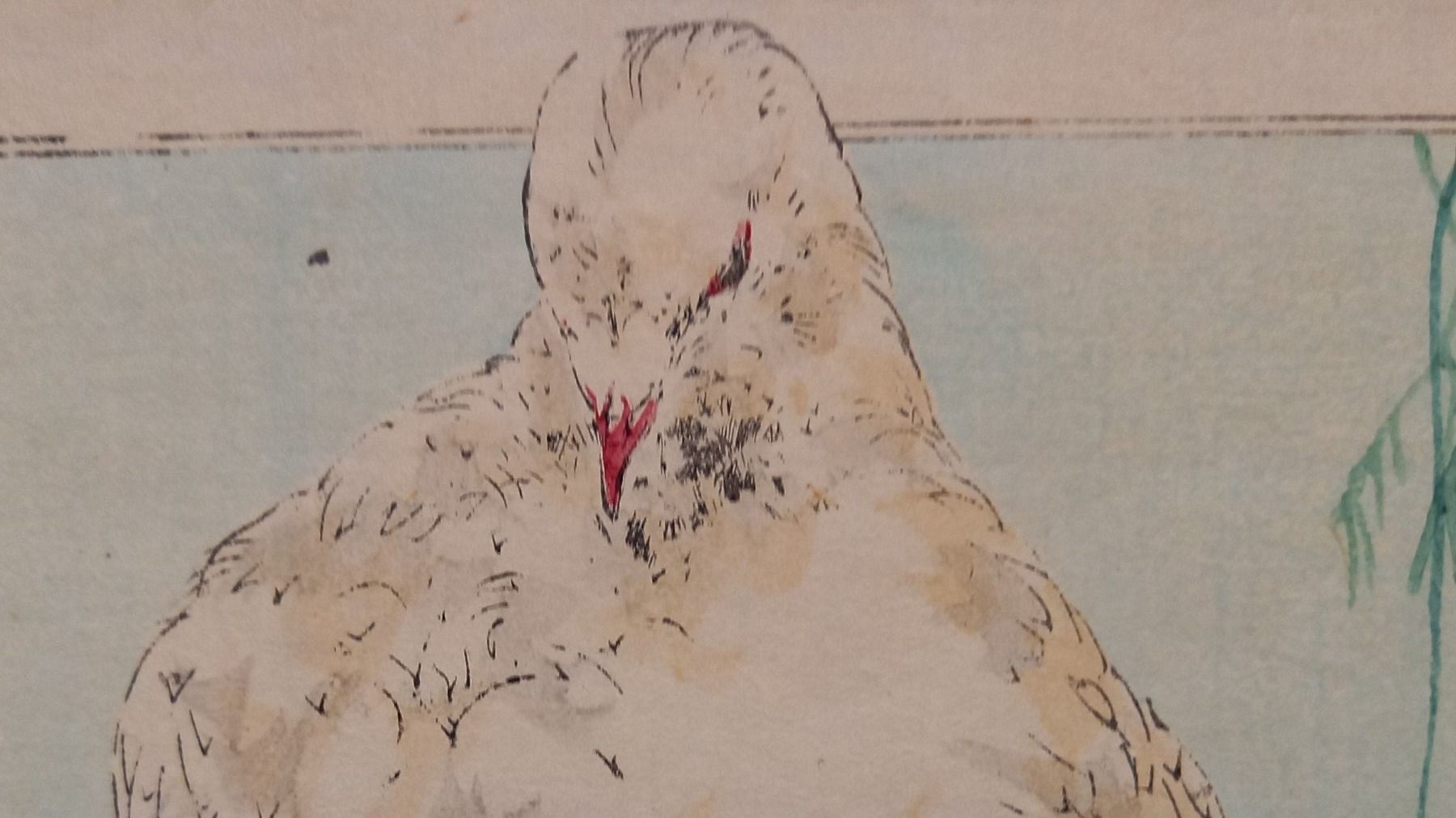 Grafica & Litografie: belle estampe oiseau sur sa branche – Usato da Lausanne venduto da leneko 1