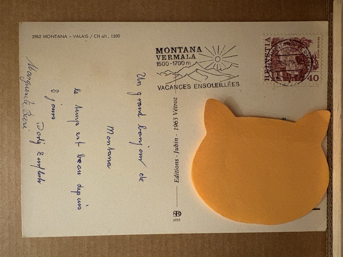 Cartoline postali: AK von Montana – Usato da Rümlang venduto da Kartenpost1 1