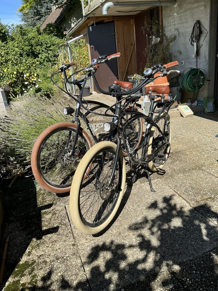 Biciclette: Ebike, Cruiser – Usato da Nussbaumen TG venduto da Hejo1 3