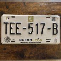🇲🇽 Mexiko Autoschild, Nuevo Leon TEE-51 - ORIGINAL  