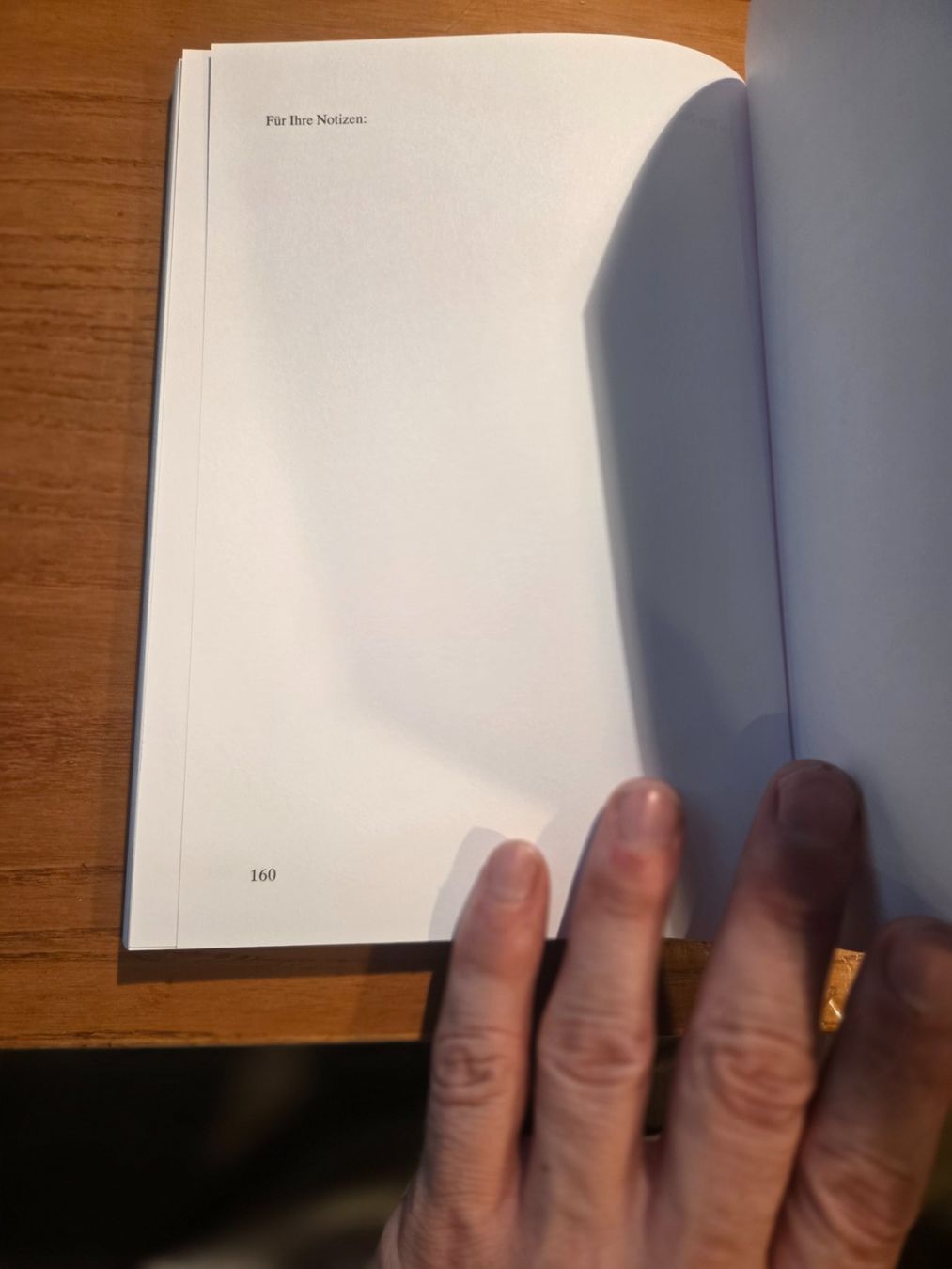 Libri: NZZ Vademecum 2005 Sprachleitfaden – Usato da Aldesago venduto da lusuardi 9