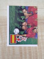 Panini Euro 1988 Einzelsticker Nr. 129
