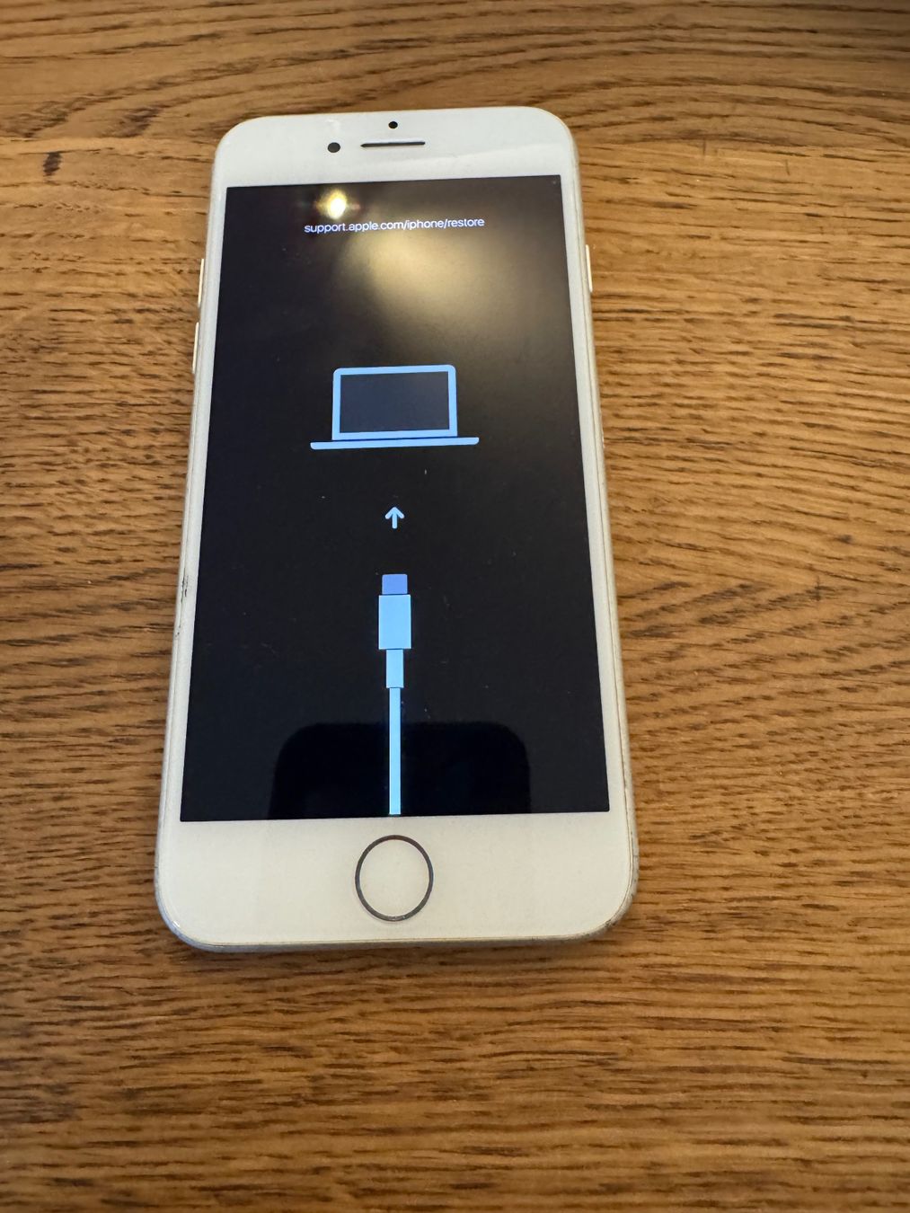 Apple Handys / Smartphones: iPhone 7 – Defekt aus Adliswil von Busys