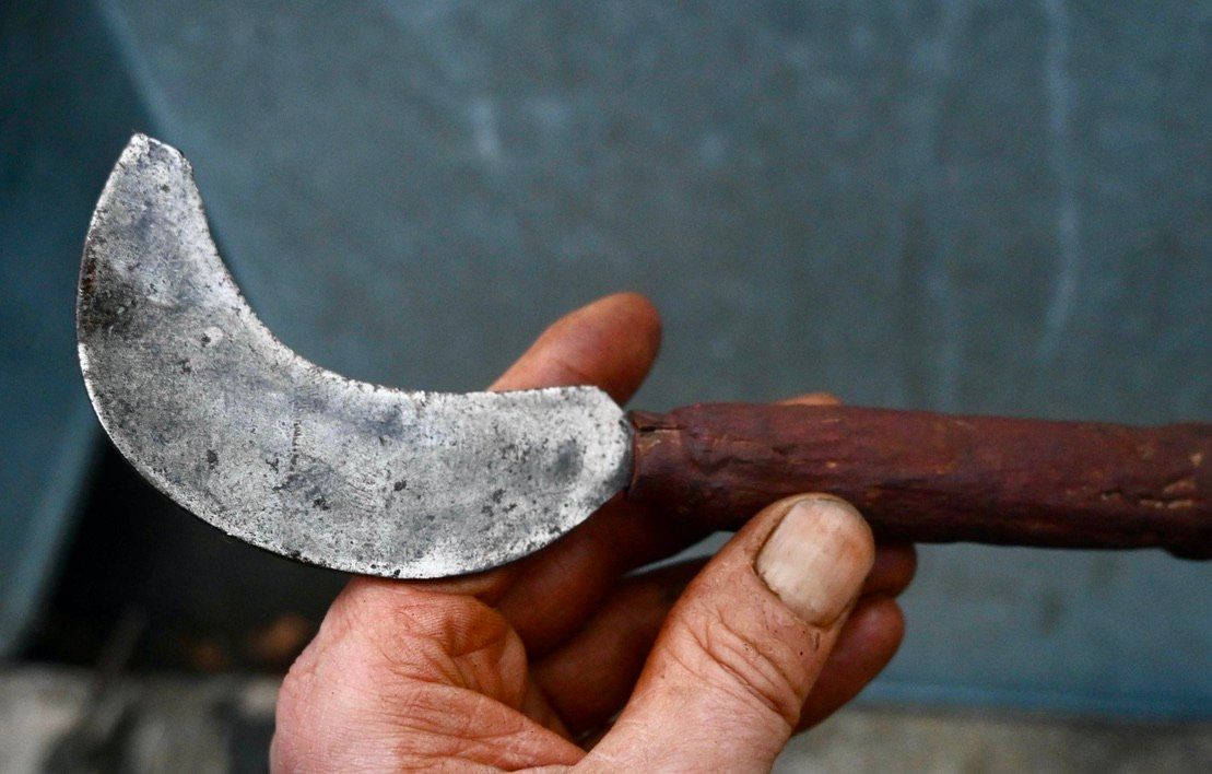 Tutti gli attrezzi: ANTIKE Handsichel Länge ca. 19cm - MUTEL À DAMPARIS – Usato da Pfaffhausen venduto da mono_rec 6